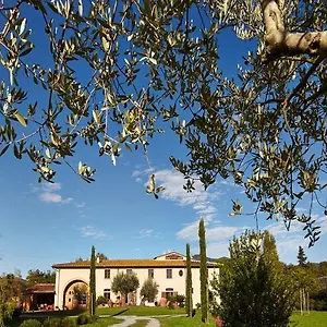 Ai Condotti Di Pisa Da Filippo San Giuliano Terme